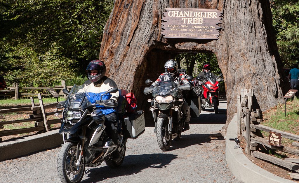 The Redwoods Riders Club adventure